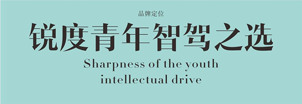陸風(fēng)行車記錄儀營(yíng)銷策劃,行車記錄儀營(yíng)銷策劃,陸風(fēng)行車記錄儀