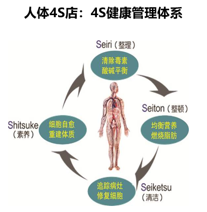 美容品牌策劃,美容營(yíng)銷(xiāo)策劃,馨園美容連鎖品牌策劃