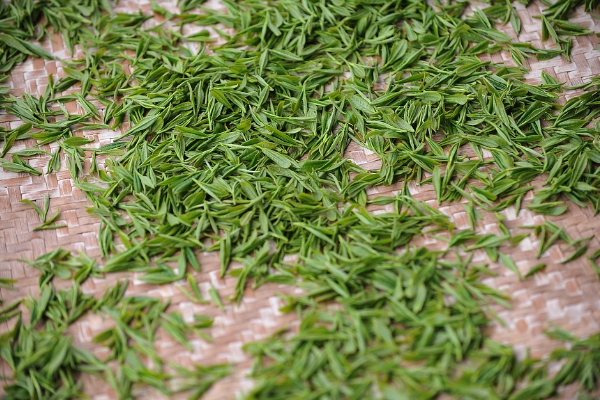 食品營(yíng)銷策劃