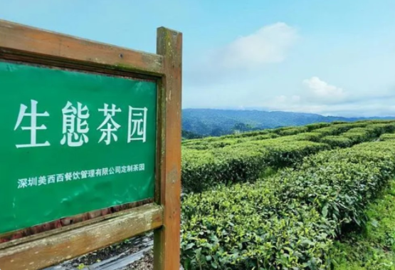 喜茶品牌營(yíng)銷(xiāo)策劃